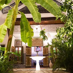 Afous Marrakesh